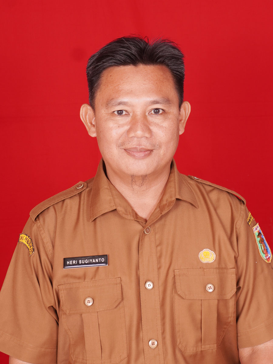 Heri Sugiyanto, S.Kom.