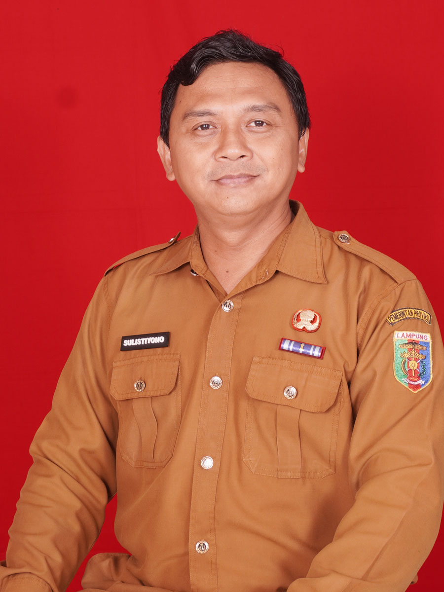 Sulistiyono, S.Kom.,M.Pd.